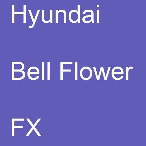 Hyundai, Bell Flower, FX.